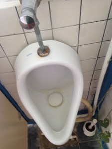 Sardunya Beach Club kirli tuvaletler